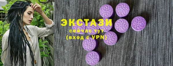 ECSTASY Богородицк