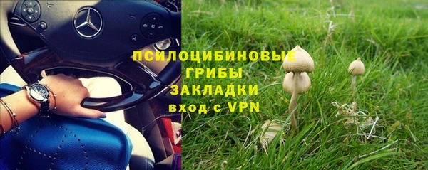 ECSTASY Богородицк