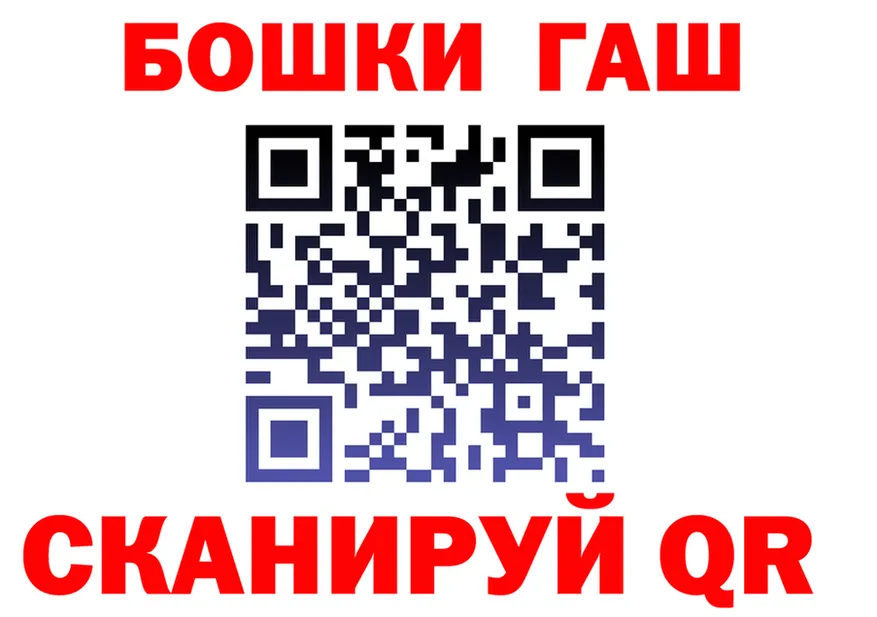 ГАШ Ice-O-Lator зеркало маркетплейс MEGA Дудинка