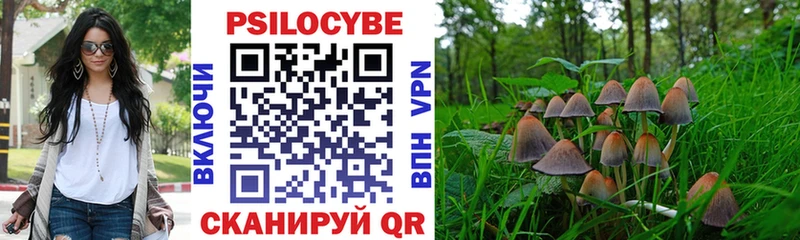 даркнет сайт  Дудинка  omg вход  Галлюциногенные грибы Cubensis 
